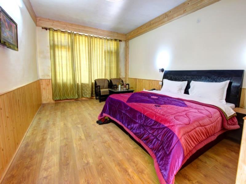 Hostel The Manali, Old *